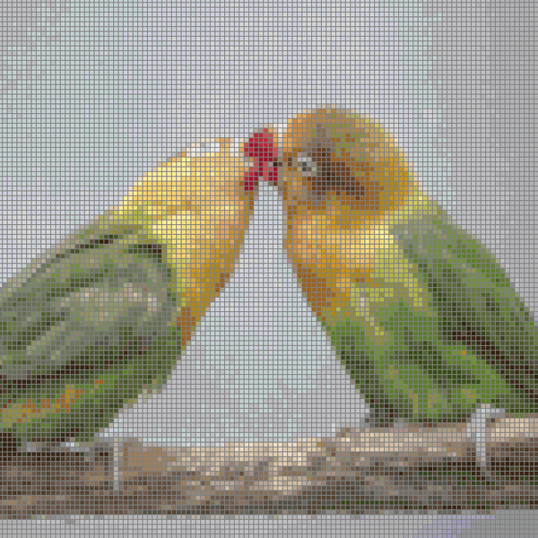 Converting a photo to cross-stitch pattern