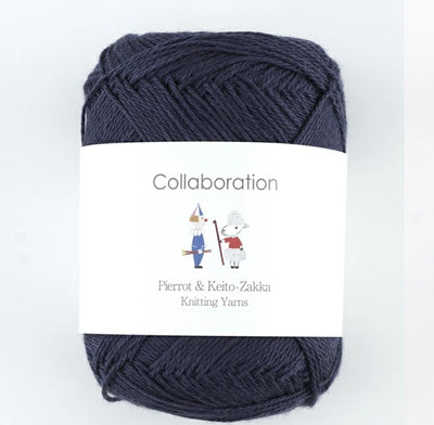 Pierrot Caro Yarn (40g)