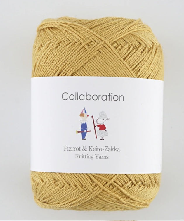 Pierrot Caro Yarn (40g)