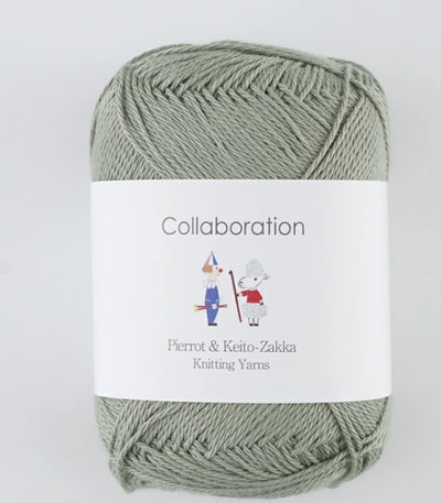 Pierrot Caro Yarn (40g)