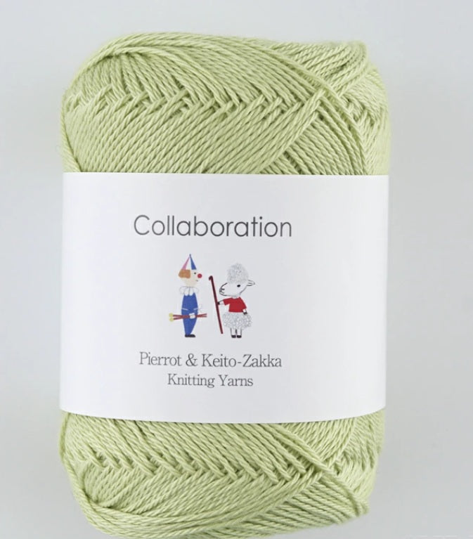 Pierrot Caro Yarn (40g)