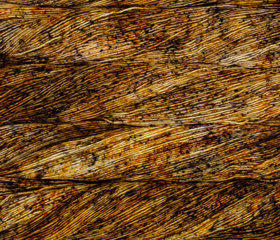 100% Superwash Merino Wool Hand Dyed Yarn on darnk orange with specks of paints
