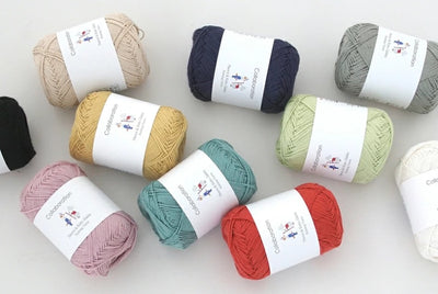 Pierrot Caro Yarn (40g)