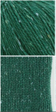 A 50g ball of Etrofil Rainbow organic merino wool blend, showcasing the soft, plump twist and high-quality Italian-designed fiber in Green