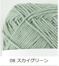 Pierrot Carta yarn in Sky Green. The yarn is made of cotton and silk, and the packaging indicates it is made in Japan.