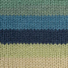 Red Heart Super Saver Yarn