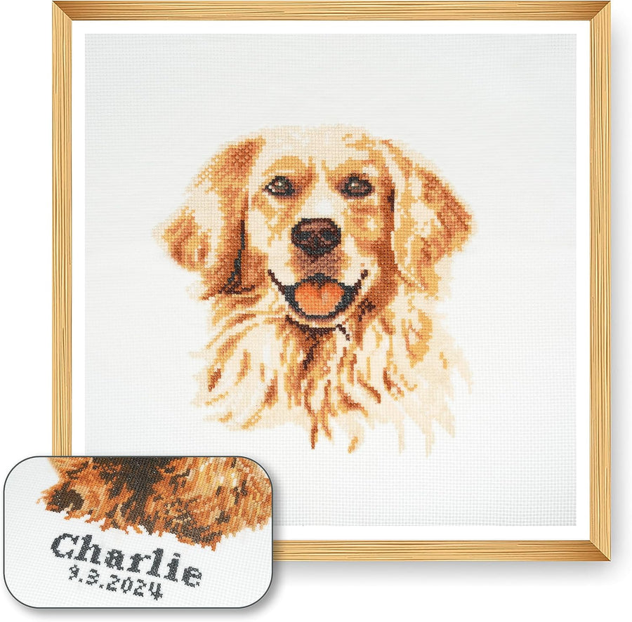 Trimits beginner Cross stitch kit featuring a Golden Retriever