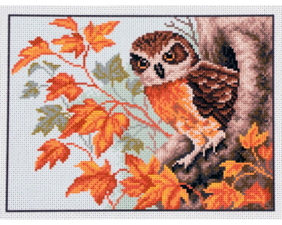 A CdA cross-stitch kit featuring the 'Autumn Owl' design. The image showcases a beautifully detailed owl surrounded by rich orange, red, and gold autumn foliage. The design is pre-printed on 14-count canvas for easy stitching, and the kit includes a needle and all required genuine DMC embroidery threads to complete the 18cm x 24cm artwork.