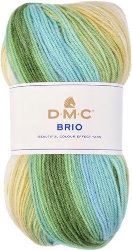 A 100g cake-style ball of DMC Brio yarn, showcasing its vibrant, self-striping color transitions. The image highlights the soft, multi-ply texture of the wool-acrylic blend, featuring a beautiful harmony of shades that create automatic patterns as you knit or crochet