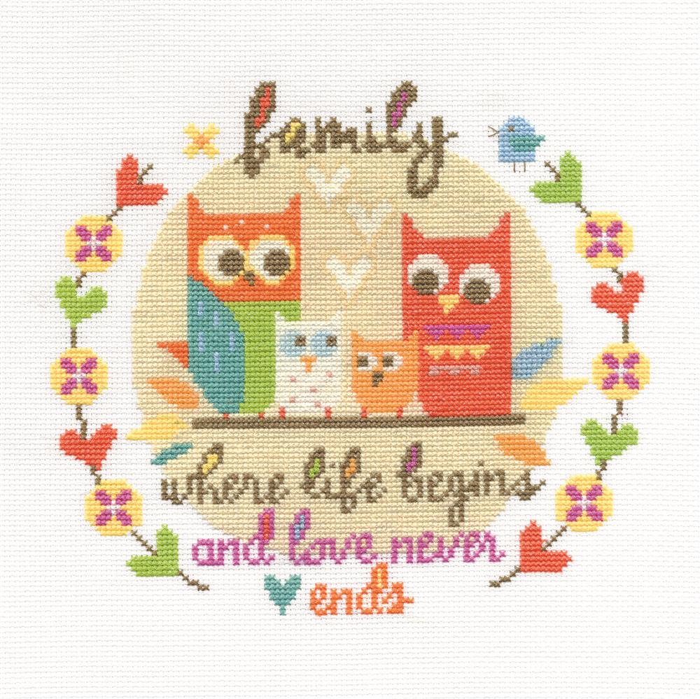 A complete DMC "Family" cross stitch kit, featuring a sentimental family-themed design, premium 100% cotton DMC embroidery floss, fabric, and a needle.