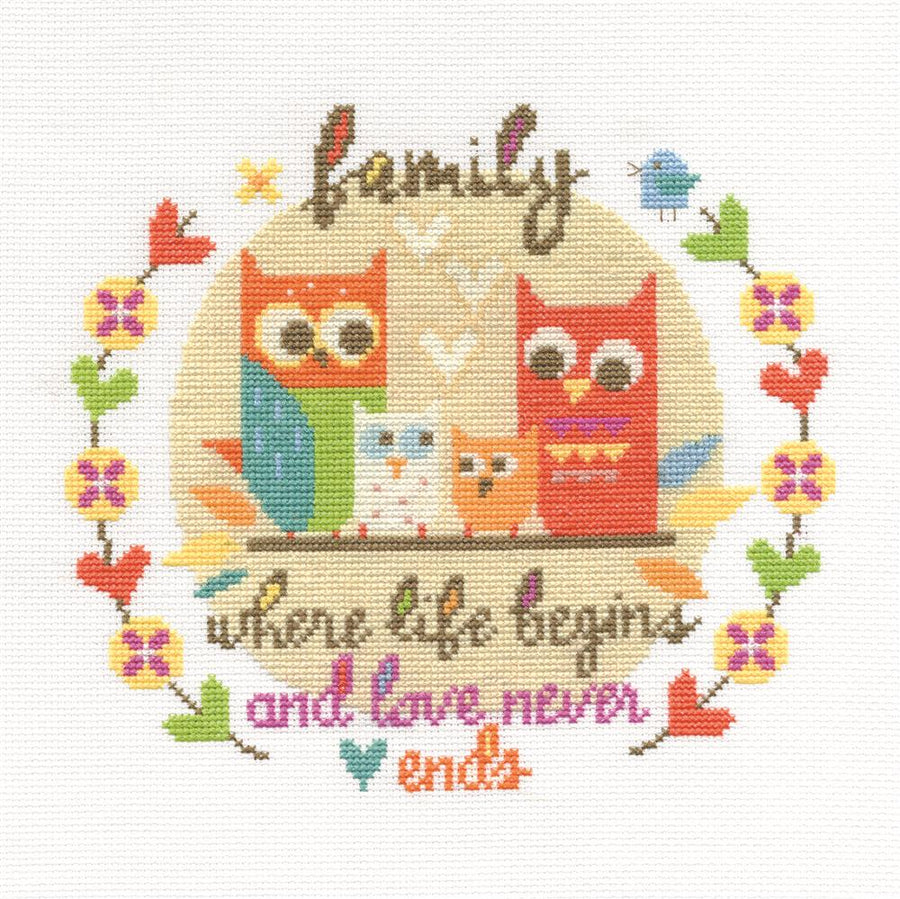 A complete DMC "Family" cross stitch kit, featuring a sentimental family-themed design, premium 100% cotton DMC embroidery floss, fabric, and a needle.