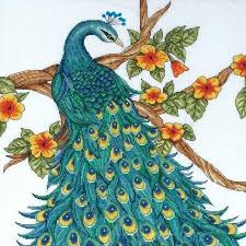 A sophisticated Design Works counted cross-stitch kit featuring a graceful peacock. The design highlights the bird's intricate blue and green feathers, enhanced with shimmering accent beads. The kit is shown with 14-count white cotton Aida cloth, a thread sorter with organized cotton floss, a packet of beads, a needle, and instructions