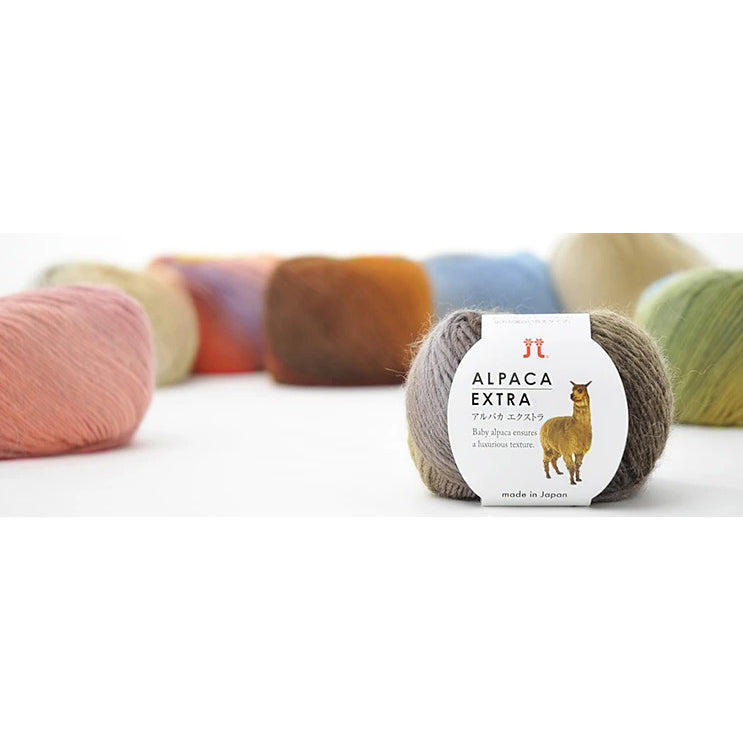 A ball of yarn with various colors in the background, including pink, orange, yellow, green, and blue.

A 25g ball of Hamanaka Alpaca Extra Wool yarn featuring soft, ombre-style color transitions. The image highlights the fine, slightly fuzzy texture of the baby alpaca fibers and the delicate, high-definition twist that creates a sophisticated, multi-tonal effect in finished knit or crochet projects