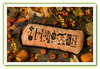 Lizzie*Kate Spooky Eyes Cross Stitch Kit