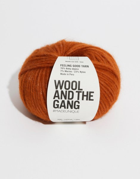 A 50g ball of Wool and the Gang Feeling Good yarn, showing its signature fluffy, brushed texture and voluminous air-blown structure in Cinnamon brown dust colour.