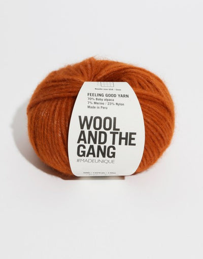 A 50g ball of Wool and the Gang Feeling Good yarn, showing its signature fluffy, brushed texture and voluminous air-blown structure in Cinnamon brown dust colour.