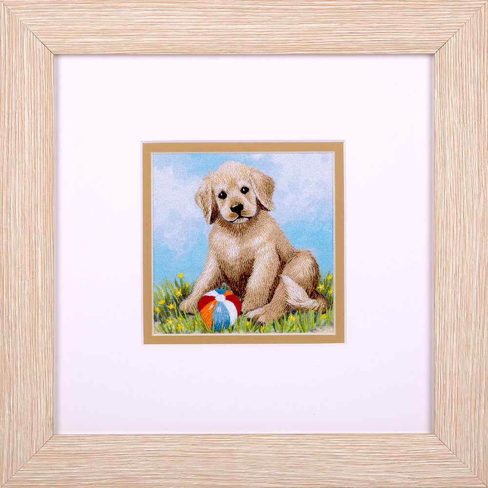 Embroidery kit depicting a dog with a frisbee, presented in a frame.