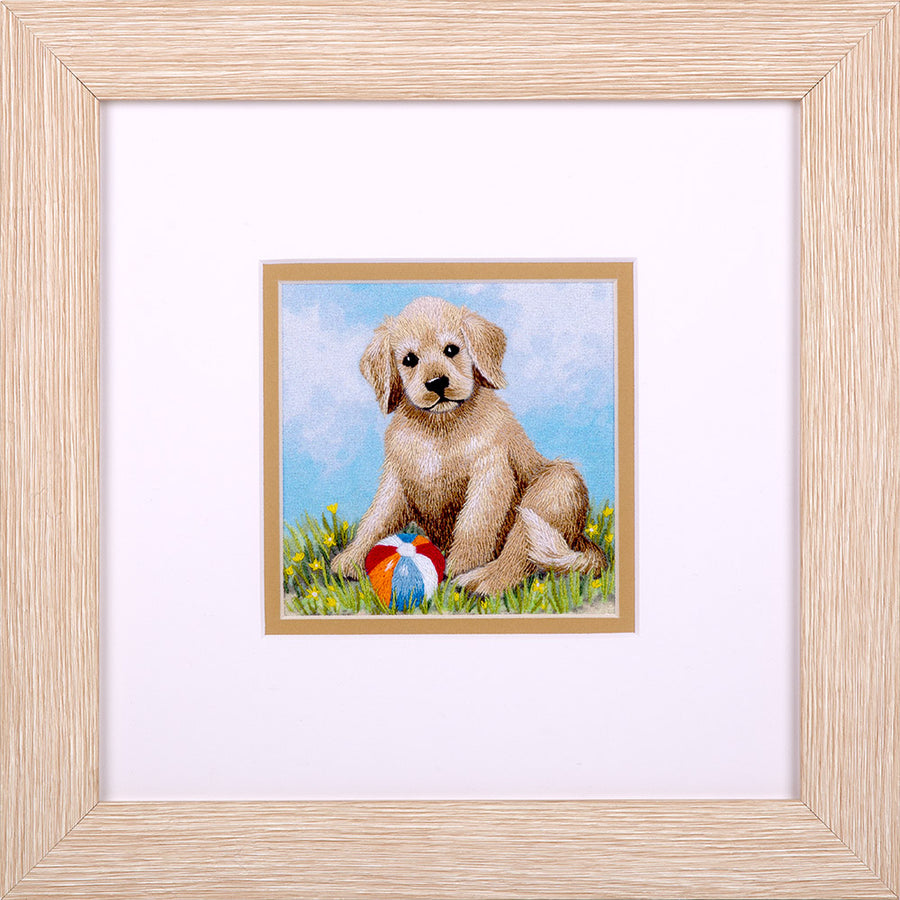 Embroidery kit depicting a dog with a frisbee, presented in a frame.