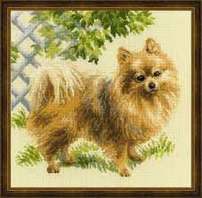 Cross stitch kit depicting a Pomeranian dog on a grassy background, framed and matted.