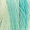 Red Heart Super Saver Ombre Yarn