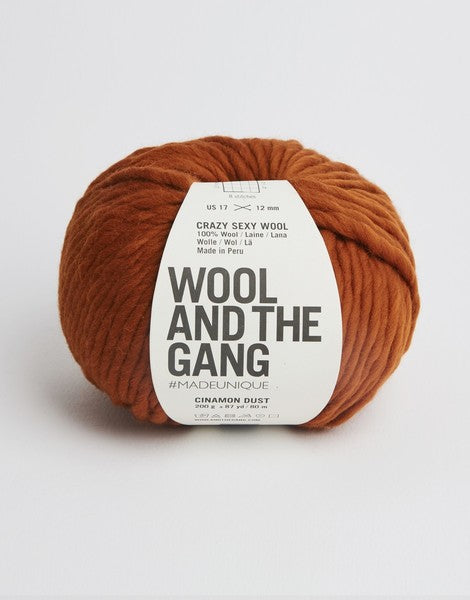 A giant 200g ball of Wool and the Gang Crazy Sexy Wool, showcasing its thick, plump, and ultra-soft 100% Peruvian wool fibers in brown cinnamon dust colour