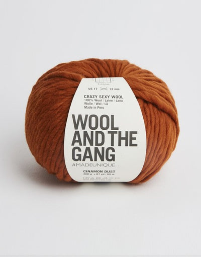 A giant 200g ball of Wool and the Gang Crazy Sexy Wool, showcasing its thick, plump, and ultra-soft 100% Peruvian wool fibers in brown cinnamon dust colour