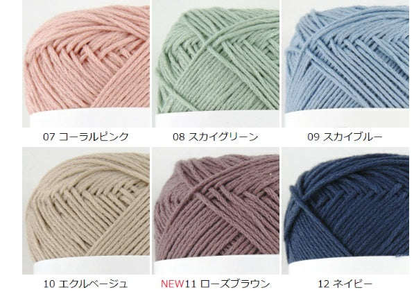 Pierrot Carta Yarn, 90% Cotton, 10% silk, Made in Japan (40g)