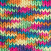Caron Simply Soft Paints Yarn