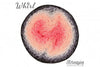 Scheepjes- Whirl Yarn
