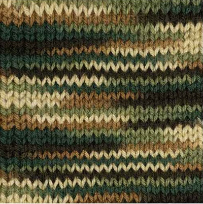 Red Heart Super Saver worsted weight yarn in Woodsy Color; the classic 100% acrylic size 4 yarn for durable blankets and crochet projects
brown, green light brown tone