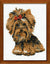Riolis Yorkshire Terrier Cross Stitch Kit